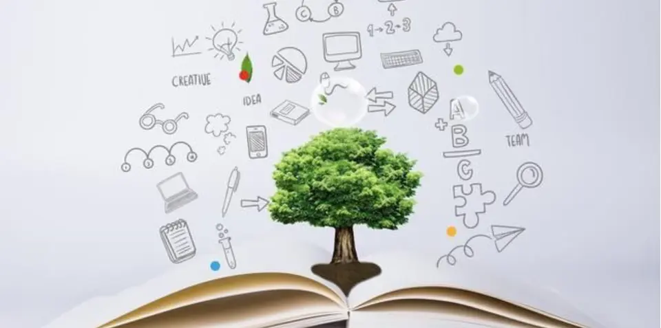 Those Basic Foreign Trade Terms You Need to Know –  Part II